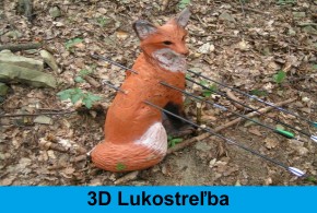 3D Lukostreľba