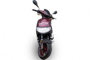Cobi 50_COBI_front